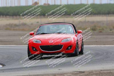 media/Jul-31-2022-Speed Ventures (Sun) [[bfb4b6530b]]/Black Group/Grapevine/